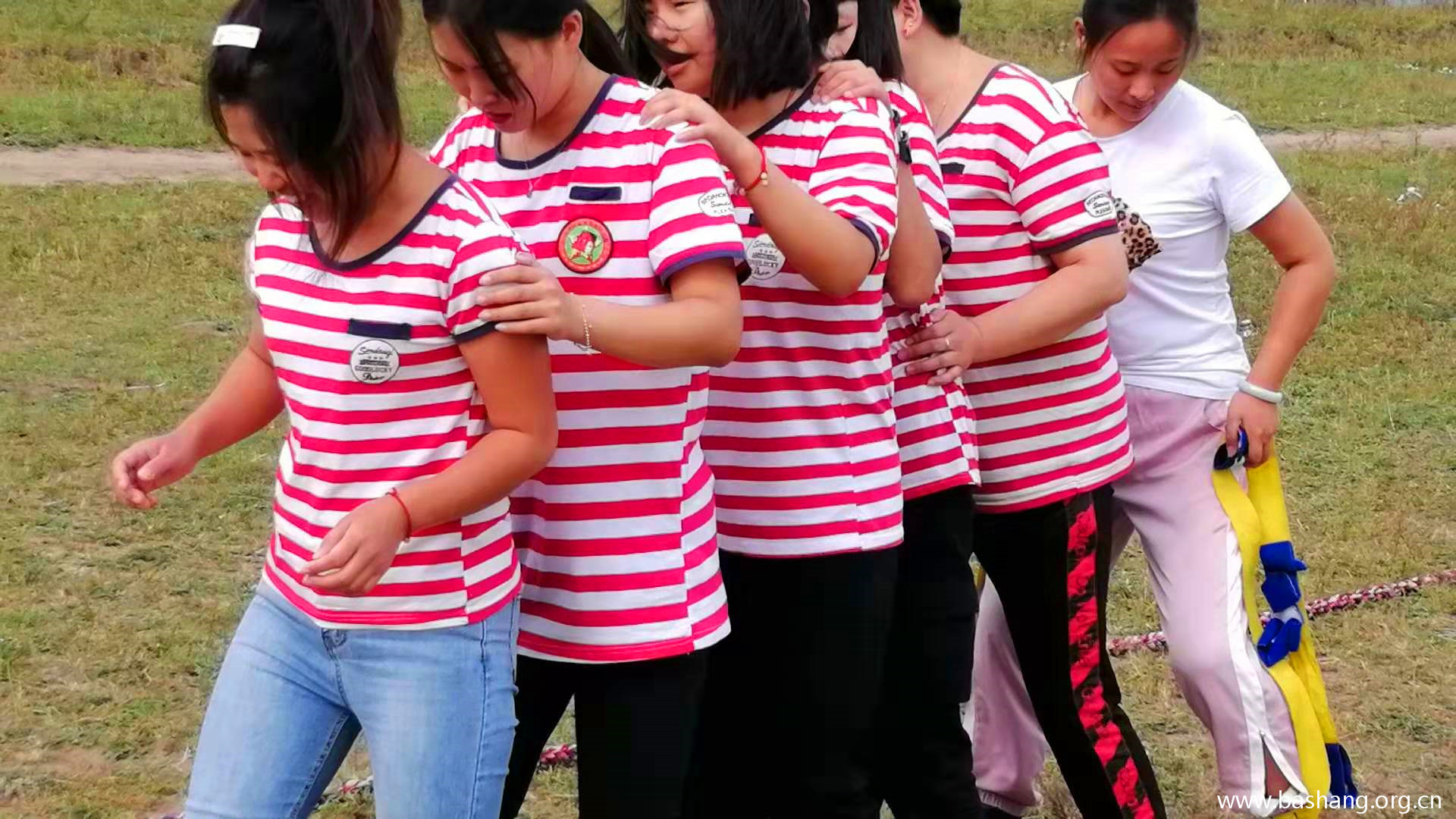 壩上草原團建項目